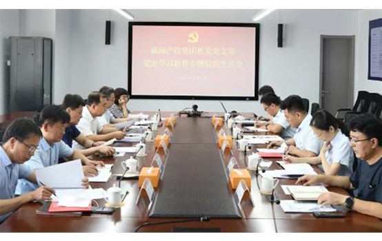 威海產(chǎn)投集團黨委組織召開黨史學(xué)習(xí)教育專題組織生活會